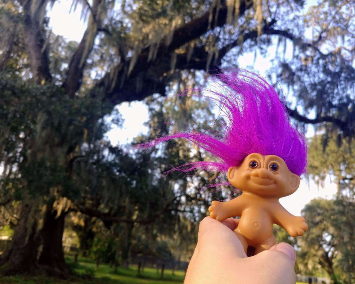 Oswald at Audubon Park in New Orleans, LA, USA